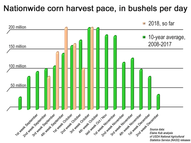 The fastest pace of corn harvest tends to arrive in weeks 42, 43 and 44, or generally the end of October and into November. (DTN graphic by Elaine Kub)
